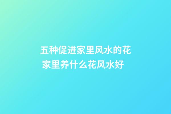 五种促进家里风水的花 家里养什么花风水好